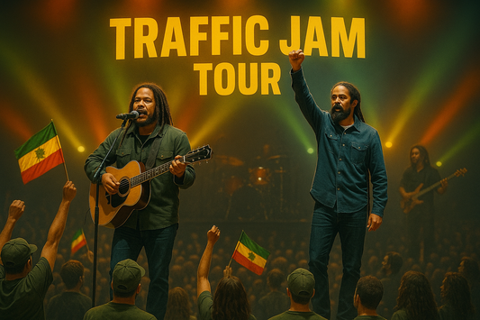 Stephen Marley and Damian Marley performing live on stage during the Traffic Jam Tour, surrounded by colorful lights and reggae fans waving Rastafarian flags.