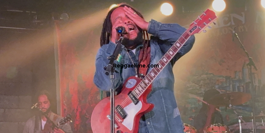 Stephen Marley and Damian Marley performing live on stage during the Traffic Jam Tour, surrounded by colorful lights and reggae fans waving Rastafarian flags.